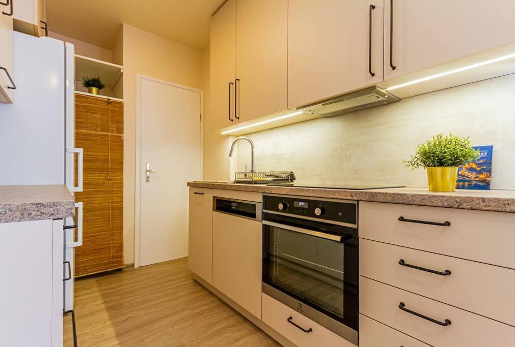 Roomy Apartment 80Sqm At City Center Free Parking Space, Ac & Balcony Budapešť Exteriér fotografie