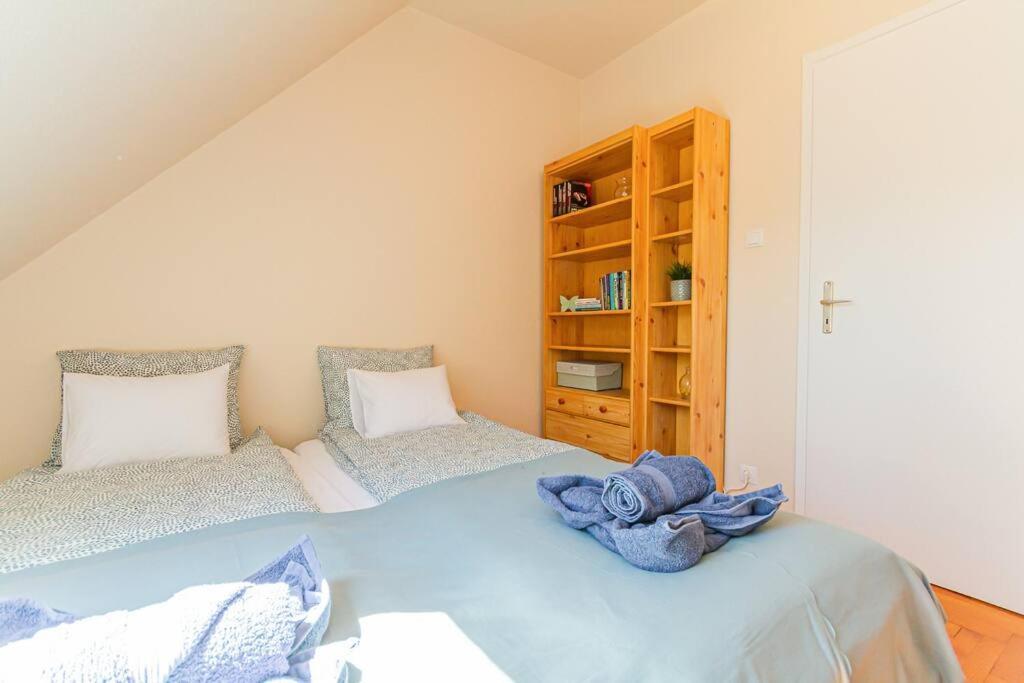 Roomy Apartment 80Sqm At City Center Free Parking Space, Ac & Balcony Budapešť Exteriér fotografie