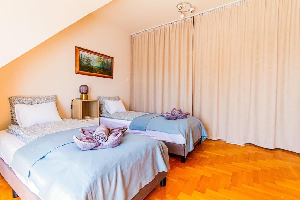Roomy Apartment 80Sqm At City Center Free Parking Space, Ac & Balcony Budapešť Exteriér fotografie